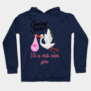 Stork bringing Baby Hoodie